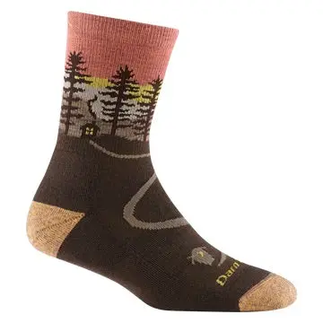 Darn Tough Women'S Northwoods Hiking Sock – Micro Crew, Midweight 1